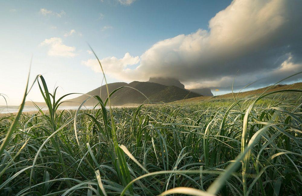 Arajilla Retreat Villa Lord Howe Island Exterior photo